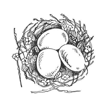 Hand-drawn sketch of Easter decorative nest with eggs. vector illustration. Black and white vintage drawing.のイラスト素材