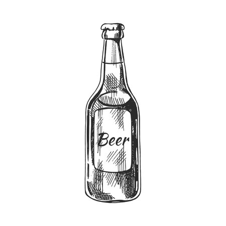 Hand-drawn sketch of beer bottle isolated on white background. Vector vintage engraved illustration.のイラスト素材