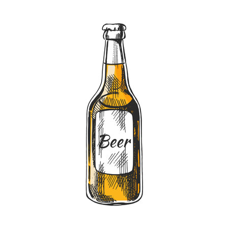 Hand-drawn sketch of beer bottle isolated on white background. Vector vintage engraved illustration.のイラスト素材