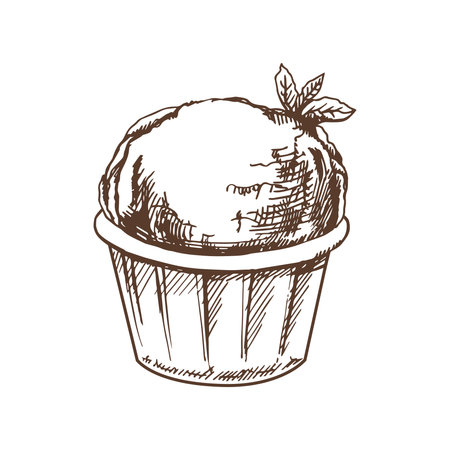 A hand-drawn sketch of an ice cream, cupcake with mint in a cup. vintage illustration. Element for the design of labels, packaging and postcards.のイラスト素材