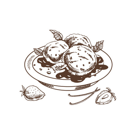A hand-drawn sketch of an ice cream balls in a plate with chocolate sauce, vanilla pods, strawberries. vintage illustration. Element for the design of labels, packaging and postcards.のイラスト素材