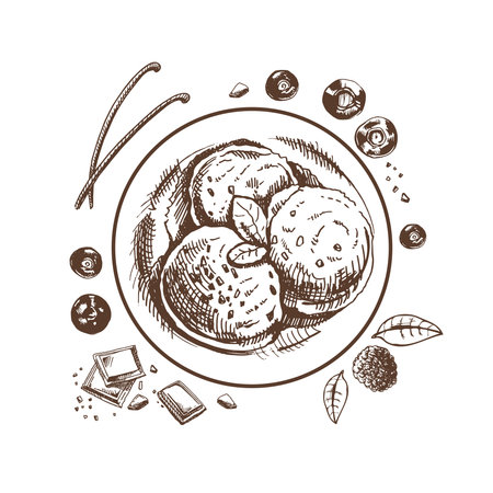 A hand-drawn sketch of an ice cream balls in a plate with chocolate, berries, vanilla pods. top view. vintage illustration. Element for the design of labels, packaging and postcards.のイラスト素材