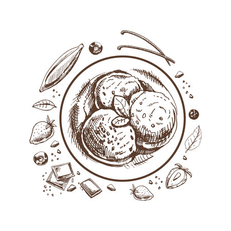 A hand-drawn sketch of an ice cream balls in a plate with chocolate, fruits, berries, vanilla pods. top view. vintage illustration. Element for the design of labels, packaging and postcards.のイラスト素材