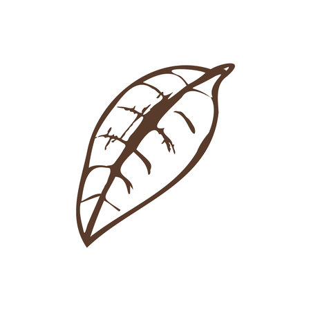 A hand-drawn sketch of a leaf. Vintage illustration, doodle. Element for the design of labels, packaging and postcards.のイラスト素材