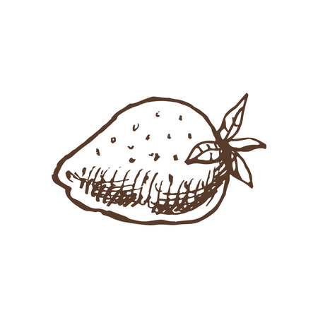 A hand-drawn sketch of strawberries. Vintage illustration, doodle. Element for the design of labels, packaging and postcards.のイラスト素材