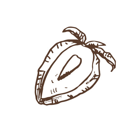 A hand-drawn sketch of strawberries. Vintage illustration, doodle. Element for the design of labels, packaging and postcards.のイラスト素材