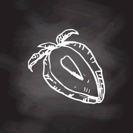 A hand-drawn sketch of strawberry isolated on chalkboard background. Vintage illustration, doodle. Element for the design of labels, packaging and postcards.のイラスト素材