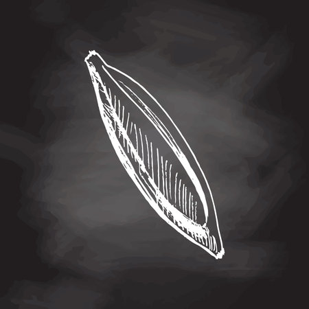 A hand-drawn sketch of banana isolated on chalkboard background. Vintage illustration, doodle. Element for the design of labels, packaging and postcards.のイラスト素材