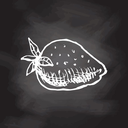 A hand-drawn sketch of strawberry isolated on chalkboard background. Vintage illustration, doodle. Element for the design of labels, packaging and postcards.のイラスト素材