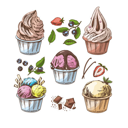 A hand-drawn colored sketch of ice cream balls, frozen yoghurt or cupcakes in cups. Blueberries, strawberries, vanilla pods, chocolate. set. vintage illustration. Element for the design of labels, packaging and postcards.のイラスト素材