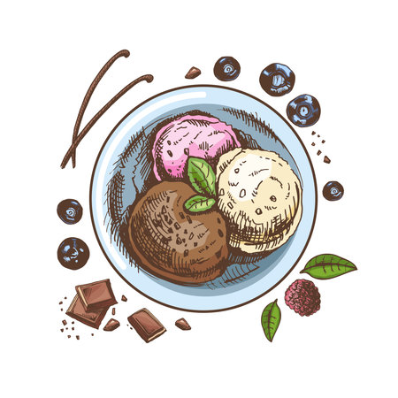A hand-drawn colored sketch of an ice cream balls in a plate with chocolate, berries, vanilla pods. top view. vintage illustration. Element for the design of labels, packaging and postcards.のイラスト素材
