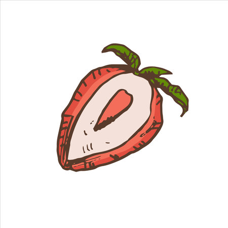 A hand-drawn colored sketch of strawberries. Vintage illustration, doodle. Element for the design of labels, packaging and postcards.のイラスト素材
