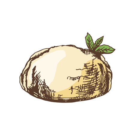 A hand-drawn colored sketch of ice cream scoop with mint. vintage illustration. Element for the design of labels, packaging and postcards.のイラスト素材