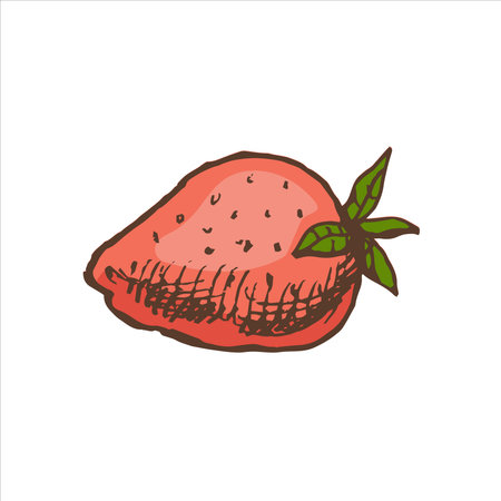 A hand-drawn colored sketch of strawberries. Vintage illustration, doodle. Element for the design of labels, packaging and postcards.のイラスト素材