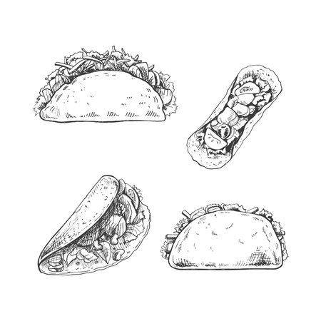 Taco set. Hand-drawn sketch illustrations of traditional mexican food. Top, front, perspective view. vintage. Element for the design of labels, packaging and postcardsのイラスト素材