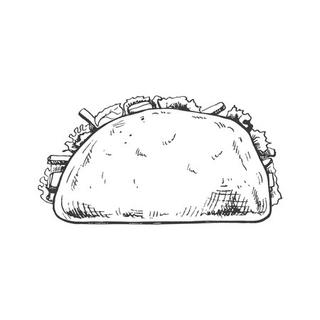 Hand-drawn sketch of taco on white background. Fast food vintage illustration. Element for the design of labels, packaging and postcardsのイラスト素材