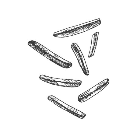 Hand-drawn sketch of french fries isolated on white background. fast food illustration. vintage drawing. Element for the design of labels, packaging and postcards.のイラスト素材