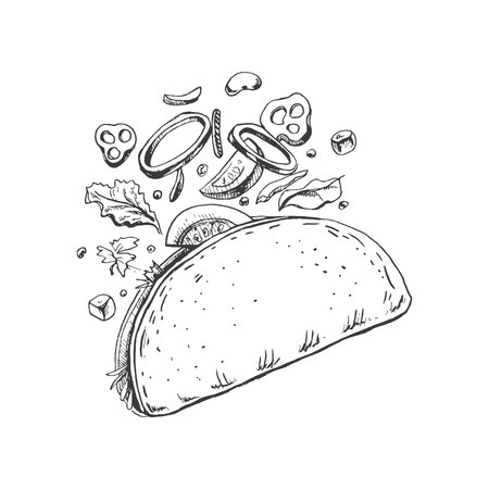 Hand-drawn sketch of taco on white background. Flying ingredients. Onion rings, tomato, cucumber, beans, tortilla. Fast food vintage illustration. Element for the design of labels, packaging and postcardsのイラスト素材