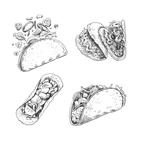 Taco set. Hand-drawn sketch illustrations of traditional mexican food. Top, front, perspective view and taco with flying ingredients. vintage. Element for the design of labels, packaging and postcardsのイラスト素材
