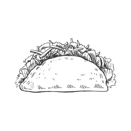 Hand-drawn sketch of taco on white background. Fast food vintage illustration. Element for the design of labels, packaging and postcardsのイラスト素材