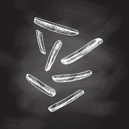 Hand-drawn sketch of french fries isolated on chalkboard background. fast food illustration. vintage drawing. Element for the design of labels, packaging and postcards.のイラスト素材