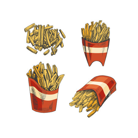 Hand-drawn colored sketch set of french fries in a box isolated on white background. fast food illustration. vintage drawing. Great for menu, poster or restaurant background.のイラスト素材