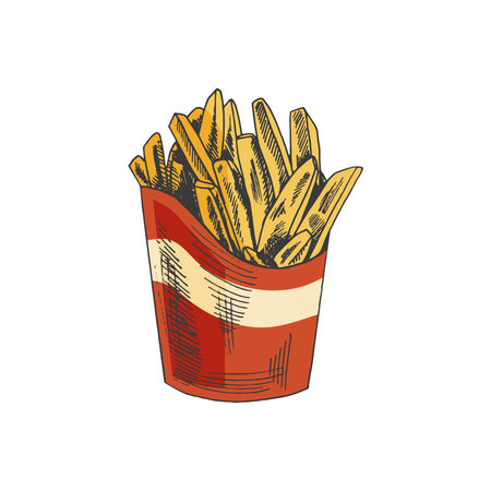 Hand-drawn colored sketch of french fries in a box isolated on white background. fast food illustration. vintage drawing. Great for menu, poster or restaurant background.のイラスト素材