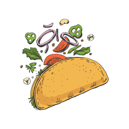 Hand-drawn colored sketch of taco on white background. Flying ingredients. Onion rings, tomato, cucumber, beans, tortilla. Fast food vintage illustration.のイラスト素材