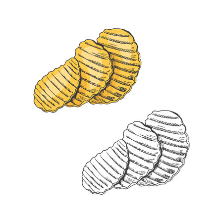 Vector colored and monochrome sketch set of potato chips, crisps. Eco food vintage vector illustration. Great for menu, poster or restaurant background.のイラスト素材