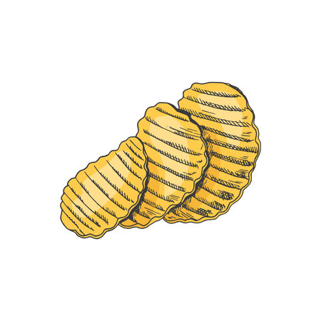Vector colored sketch of potato chips, crisps. Eco food vintage vector illustration. Great for menu, poster or restaurant background.のイラスト素材