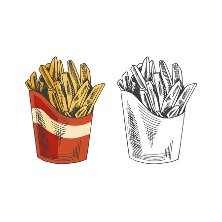 Hand-drawn colored and monochrome sketch set of french fries in a box isolated on white background. fast food illustration. vintage drawing. Great for menu, poster or restaurant background.のイラスト素材