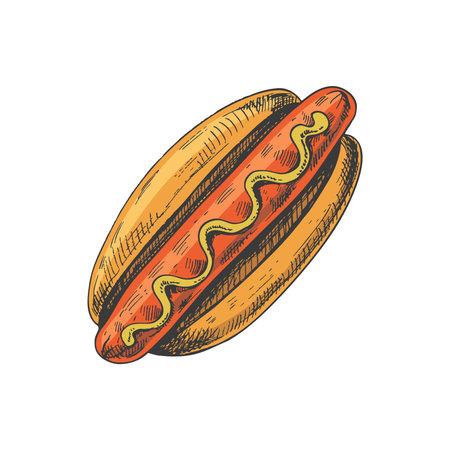 Hand-drawn colored sketch of hot dog isolated on white background. fast food illustration. vintage drawing. Great for menu, poster or restaurant background.のイラスト素材