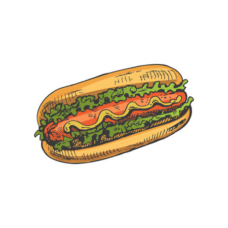 Hand-drawn colored sketch of hot dog isolated on white background. fast food illustration. vintage drawing. Great for menu, poster or restaurant background.のイラスト素材