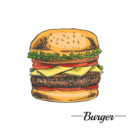 Hand-drawn colored sketch of great delicious sandwich, burger, hamburger isolated on white background. Fast food vintage illustration. Great for menu, poster or restaurant background.のイラスト素材