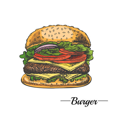 Hand-drawn colored sketch of great delicious sandwich, burger, hamburger isolated on white background. Fast food vintage illustration. Great for menu, poster or restaurant background.のイラスト素材
