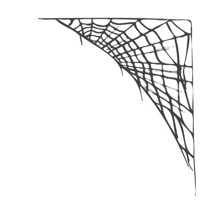 Halloween decor, spider cobweb, hand drawn vector illustration isolated on white background. Vintage, doodle sketch.のイラスト素材