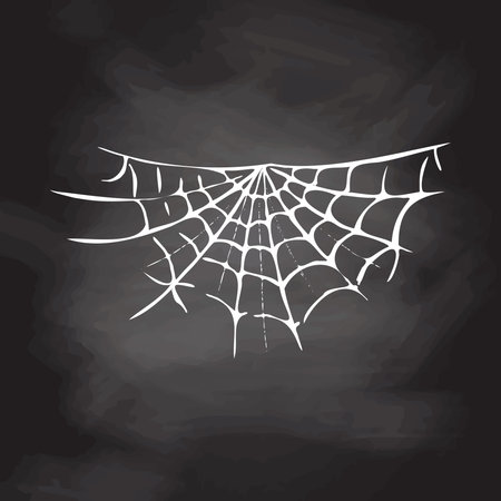 Halloween decor, spider cobweb, hand drawn vector illustration isolated on chalkboard background. Vintage, doodle sketch.のイラスト素材