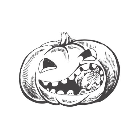 Vector hand drawn Halloween Illustration. Detailed retro style hand-drawn funny and scary pumpkin sketch isolated on white background. Vintage sketch element for labels, packaging and cards design.のイラスト素材