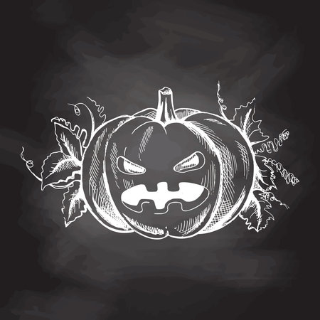 Vector hand drawn Halloween Illustration. Detailed retro style hand-drawn scary pumpkin sketch isolated on chalkboard background. Vintage sketch element for labels, packaging and cards design.のイラスト素材
