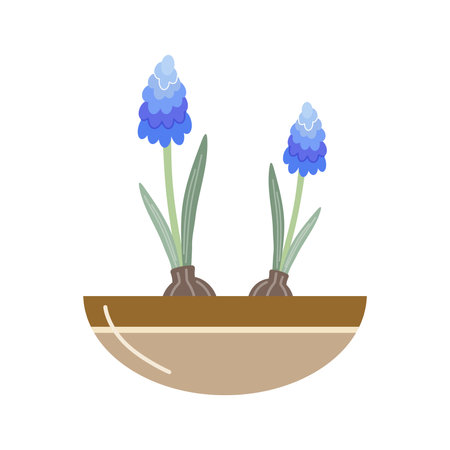 Lavender vector icon. Lavender flowers in pot. Flat vector icon isolated on white background. illustration of garden elements.のイラスト素材