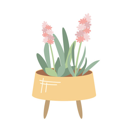 Outdoor pot with pink hyacinth flowers, gardening. Vector illustration of garden elements. flat style.のイラスト素材