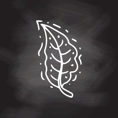 Simple white sketch line style element. Doodle cute ink pen leaf on chalkboard background. Doodle leaf. Eco concept.のイラスト素材