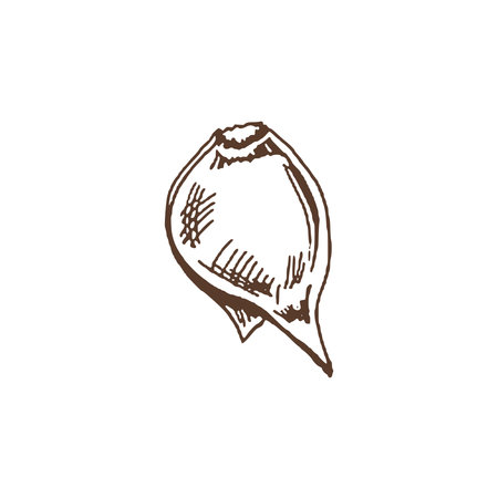 organic food. Hand drawn vector sketch of garlic. Doodle vintage illustration. Decorations for the menu of cafes and labels. engraved image.のイラスト素材