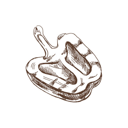organic food. Hand drawn vector sketch of half grilled bell pepper. Doodle vintage illustration. Decorations for the menu of cafes and labels. engraved image.のイラスト素材