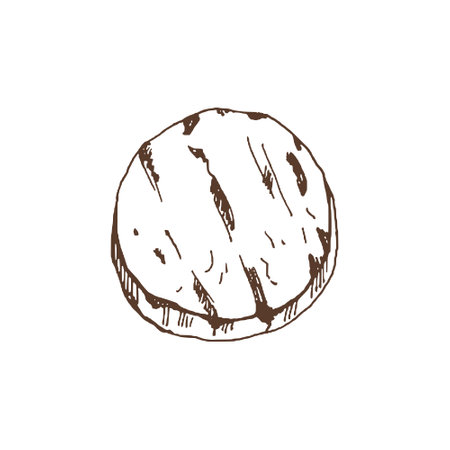 organic food. Hand drawn vector sketch of grilled squash. Doodle vintage illustration. Decorations for the menu of cafes and labels. engraved image.のイラスト素材