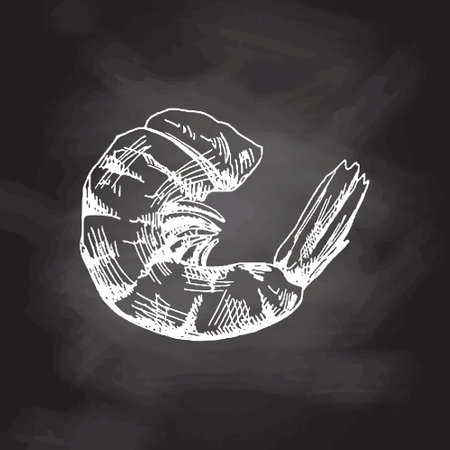 organic food. Hand drawn vector sketch of cooked shrimp. Doodle vintage illustration isolated on chalkboard background. Decorations for the menu of cafes and labels. engraved image.のイラスト素材
