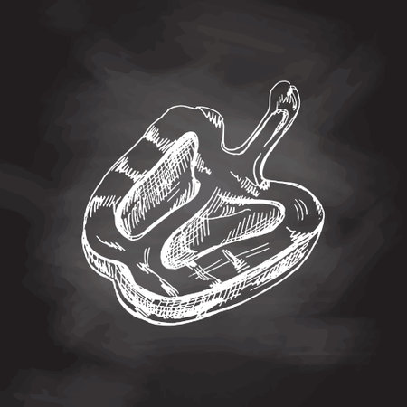 organic food. Hand drawn vector sketch of half grilled bell pepper. Doodle vintage illustration isolated on chalkboard background. Decorations for the menu of cafes and labels. engraved image.のイラスト素材