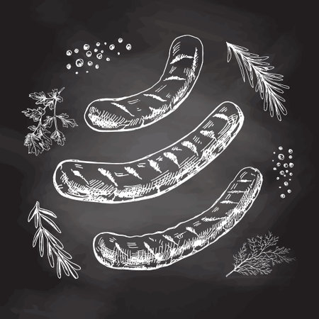 A set of hand-drawn sketches of barbecue sausages with herbs and seasonings on chalkboard background. For the design of the menu of restaurants and cafes, grilled sausages. Vintage doodle illustration. The engraved image.のイラスト素材