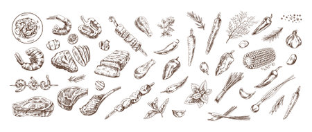 A set of hand-drawn sketches of barbecue and picnic elements. For the design of the menu of restaurants and cafes, grilled food. Doodle vintage illustration. engraved image.のイラスト素材