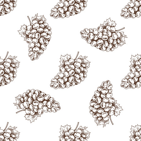 Hand-drawn vector seamless pattern of bunch of grapes. Vintage doodle illustration. Sketch for cafe menus and labels. The engraved image.のイラスト素材